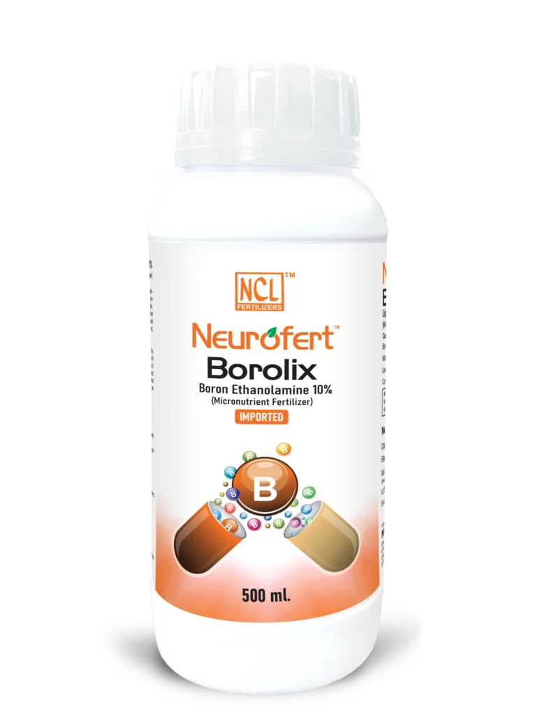 NCL Neurofert BOROLIX