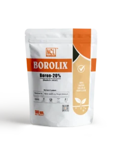 NCL Neurofert Borolix Boron