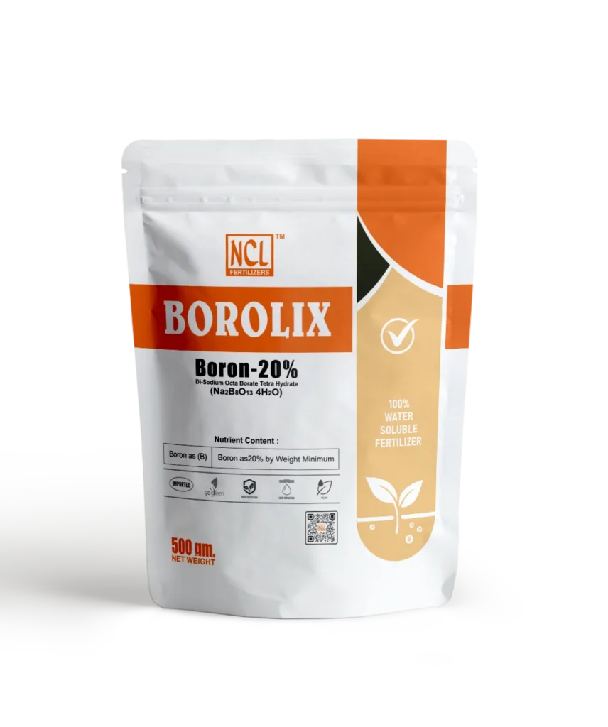 NCL Neurofert Borolix Boron