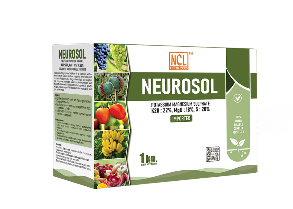 NCL Neurosol