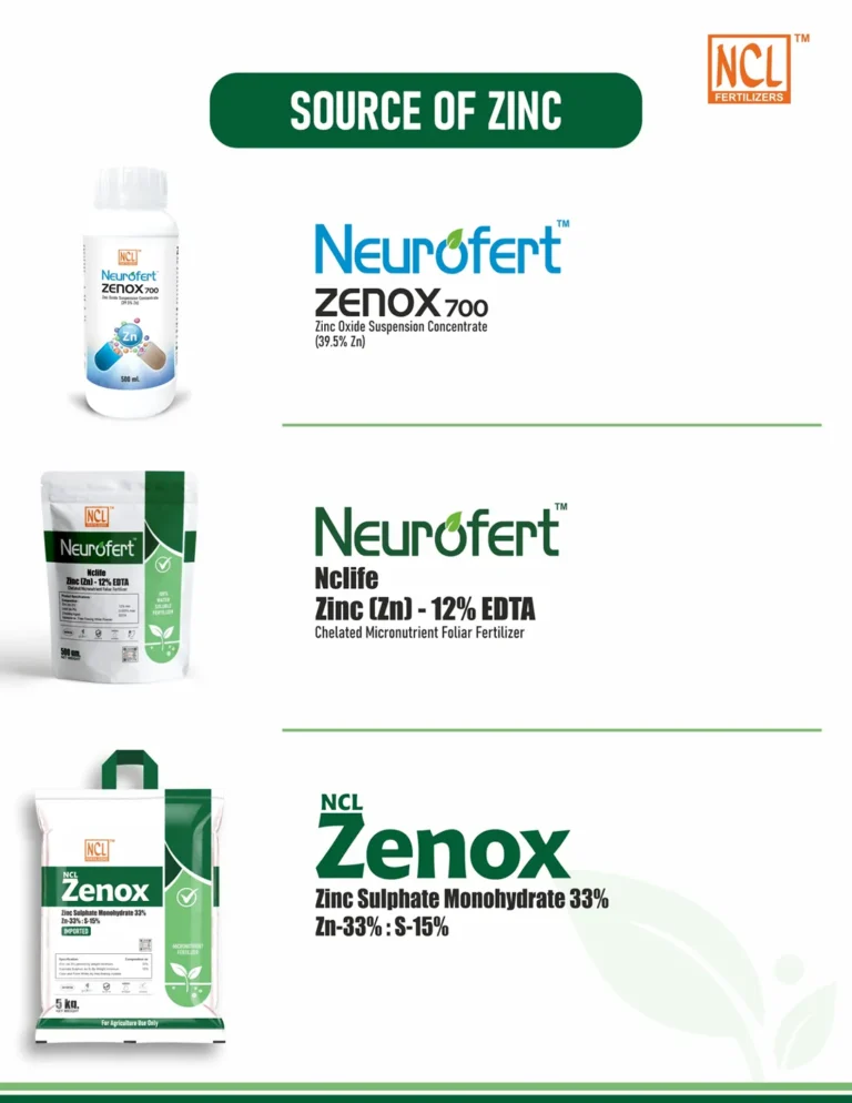 NCL Source of ZINC